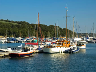 Boats-in-harbour